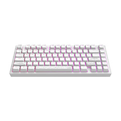 Dark Project ALU Terra Nostra - Blanc