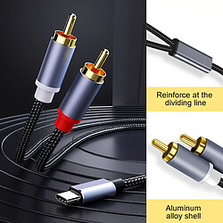 INF Câble audio stéréo USB-C vers 2x RCA pas cher