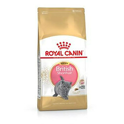 Royal Canin British Kitten Adulte