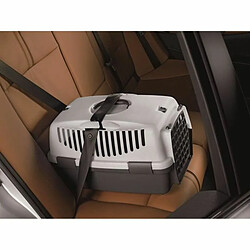 Equipement de transport pour chat