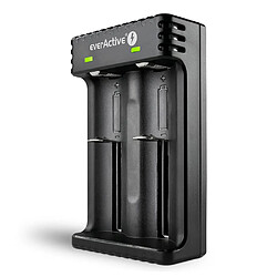 Acheter Chargeur de piles Li-ion double baie