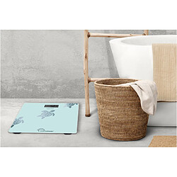 Avis Little balance Tortues Aqua