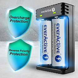 Chargeur de piles Li-ion double baie pas cher