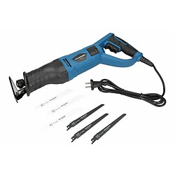 Acheter Blaupunkt RS6010