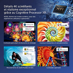 Sony Fw-98bz30l - 4K UHD