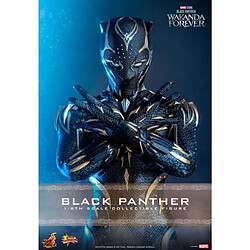 Hot toys figurine Black Panther Wakanda Forever