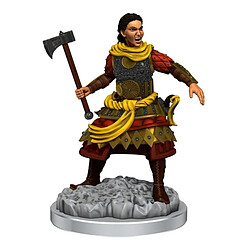 WizKids Dungeons & Dragons Human Fighters Miniatures