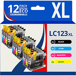 123CONSOMMABLES LC123 - 12 Cartouches