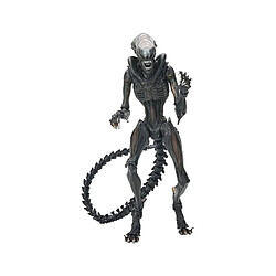 Neca figurine Alien Romulus Xenomorph - 18 cm