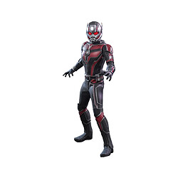 Hot toys Figurine Ant-Man Movie Masterpiece 1/6