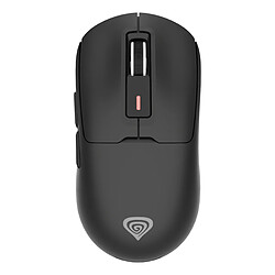 Souris