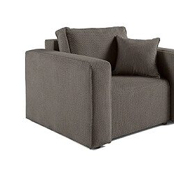 Acheter BESTMOBILIER Topaze Fauteuil - Gris foncé
