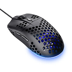 Souris