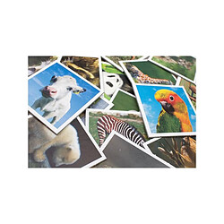 Tactic Babydieren Memo