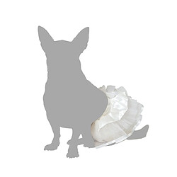 Avis BigBuy Pets Déguisement Tutu - Taille M