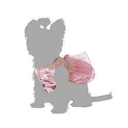 Avis BigBuy Pets Déguisement pour chien - Taille S Princesse