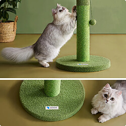 Acheter ACAZA Arbre à Chat Cactus - Vert