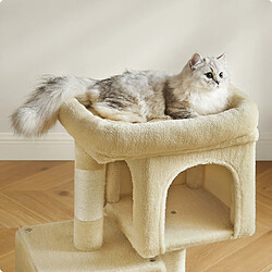 Avis Arbre à chat en sisal et peluche - 65 cm