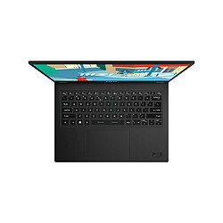 Avis MSI D13MG-095PL