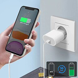 Acheter Mayaxess Câble Lightning - 1m - Blanc