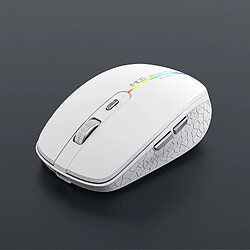 Yonis iMICE Blanche Souris optique sans fil gamer - 1600 dpi - 6 boutons - USB - Wi-Fi - ergonomique droitier