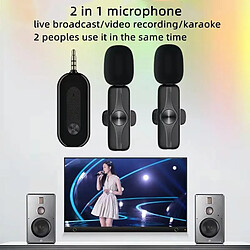 Microphone