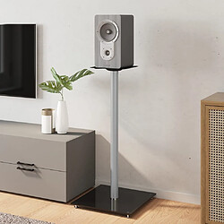 Avis VidaXL Supports de haut-parleurs noir/argenté