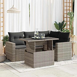 vidaXL Salon de jardin 5 pcs - Gris résine tressée