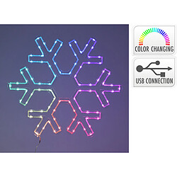 Lifetime Décorations Flocons de Neige LED RGB