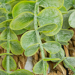 Atmosphera Eucalyptus à suspendre avec pot naturel - H. 70 cm