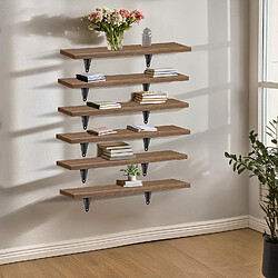 Maclean Étagères murales x6 - Noyer