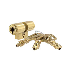 Pollux cylindre de serrure double entrée