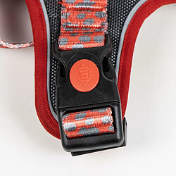 Equipement de transport pour chien