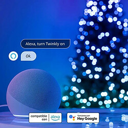 Acheter Twinkly Guirlande LED Noël 10W Multicouleur