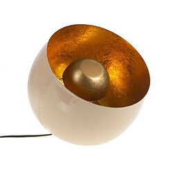 Amadeus Lampe Samuel