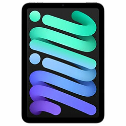 Apple iPad mini 2024 - 256 Go Gris