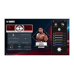 Avis Deep Silver Undisputed