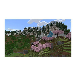 Acheter Mojang Minecraft PS5