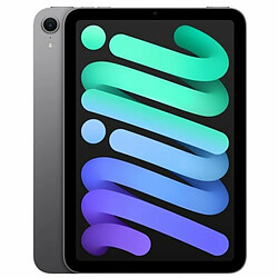 Apple iPad mini 2024 - 256 Go Gris
