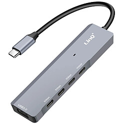 Linq Hub USB C