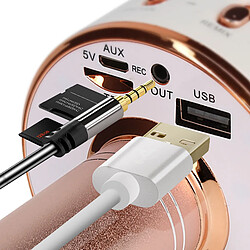 Acheter Avizar Micro karaoké Bluetooth - Rose