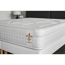 Acheter LITIER DELUXE Litier-Deluxe Le Vingt-Huit