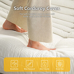 SoftEva canapé trois places noir sans assemblage, mousse double confort, soutien ergonomique du corps entier pas cher