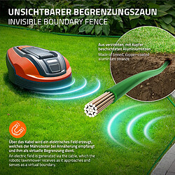 Avis ECD Germany 100 m Vert