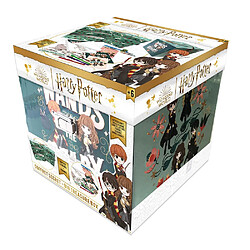 D'ARPEJE Coffret secret Harry Potter