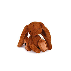 Histoire d'Ours Histoire d’ours peluche lapin doudou