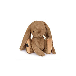 Histoire d'ours doudou lapin noisette