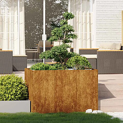 vidaXL Jardinière acier inoxydable rouillé 120x80x80 cm