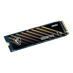 Avis Msi Spatium M450 V1 1Go M.2 2280