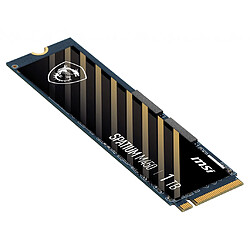 Acheter Msi Spatium M450 V1 1Go M.2 2280